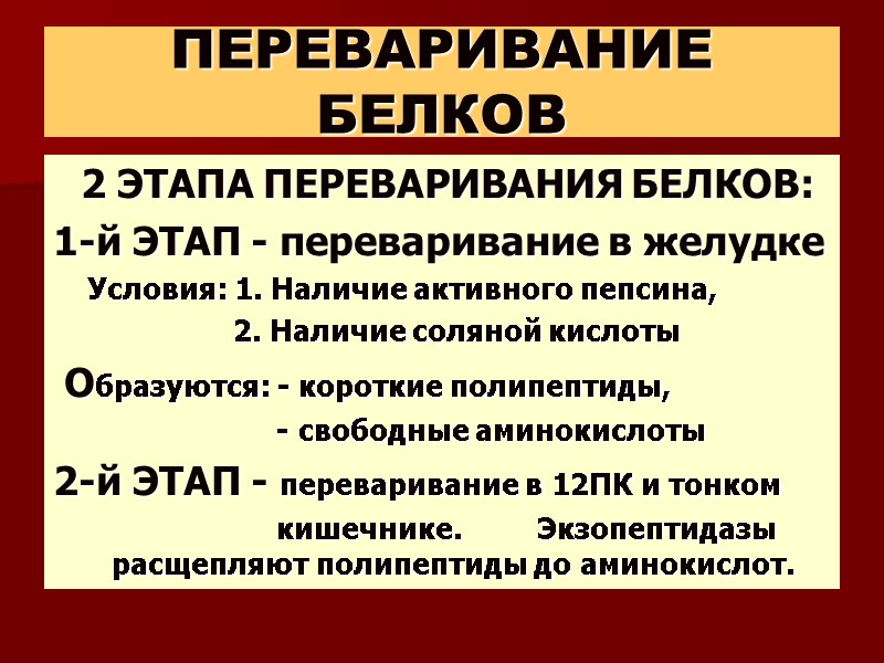 ПЕРЕВАРИВАНИЕ БЕЛКОВ    2 ЭТАПА ПЕРЕВАРИВАНИЯ БЕЛКОВ: 1-й ЭТАП - переваривание в
